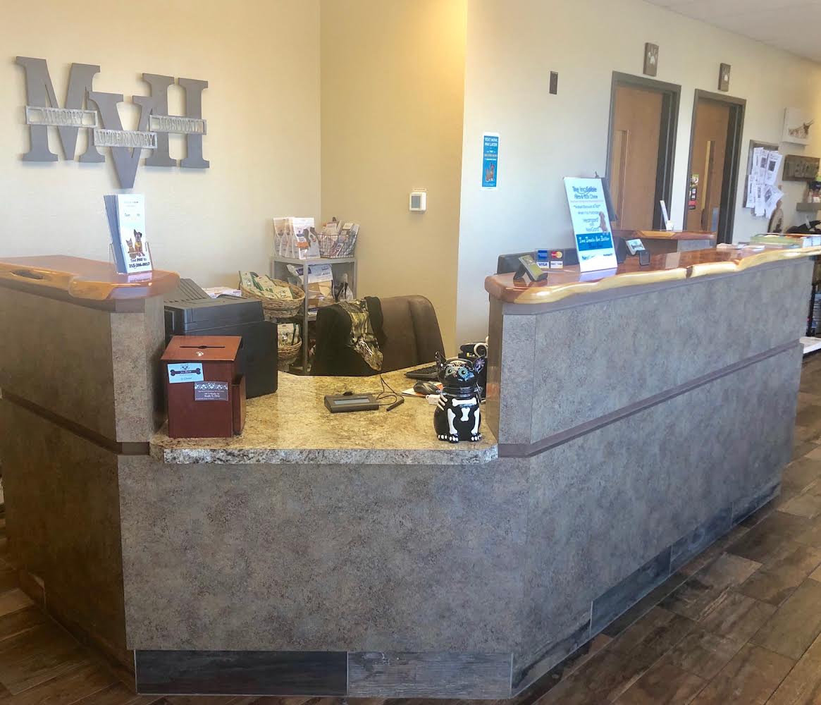 Office Tour | Murphy Veterinary Hospital