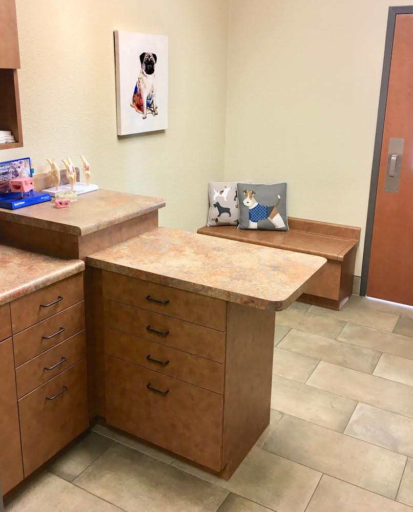 Office Tour | Murphy Veterinary Hospital