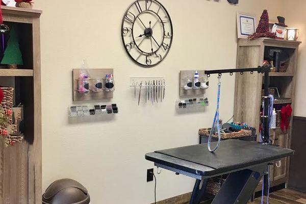 Office Tour | Murphy Veterinary Hospital